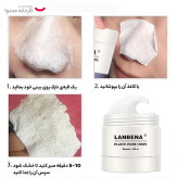 ماسک بینی لانبنا (Lanbena) مدل Nose Plants رفع جوش سرسیاه بینی اصل